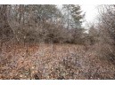 LOT 29 Summit Drive, Pardeeville, WI 53954