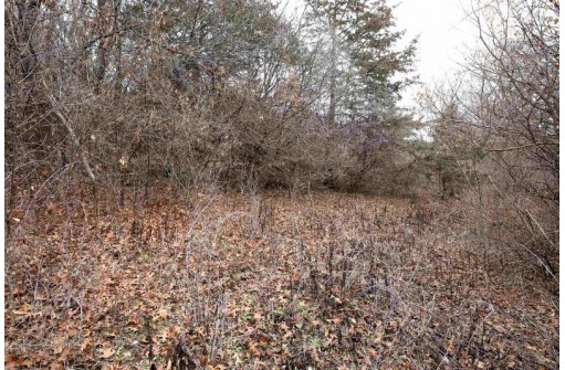 LOT 29 Summit Drive, Pardeeville, WI 53954