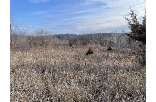 6.12 ACRES Scenic Trail Road, Muscoda, WI 53573