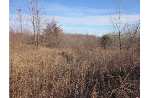 6.12 ACRES Scenic Trail Road, Muscoda, WI 53573