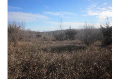 6.12 ACRES Scenic Trail Road, Muscoda, WI 53573