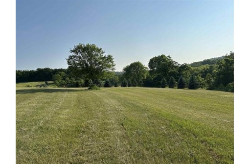 LOT 1 Hustad Valley Road, New Glarus, WI 53574