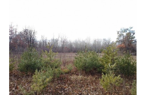 40.00AC County Road X, Babcock, WI 54466