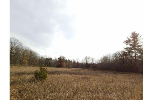 40.00AC County Road X, Babcock, WI 54466