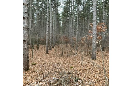 LOT 50 Longview Point, Necedah, WI 54646