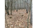 LOT 50 Longview Point, Necedah, WI 54646