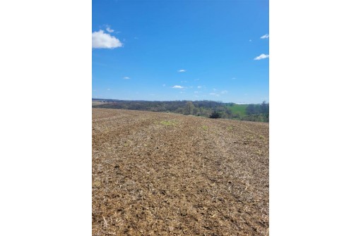 85 ACRES Burr Oak Road, Belmont, WI 53510