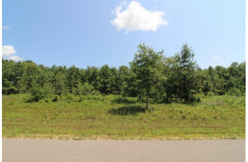 L1 White Pine, Spring Green, WI 53588