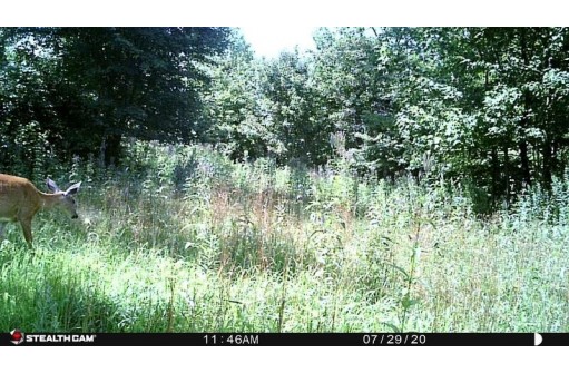 40 AC Cypress Avenue, Friendship, WI 53934