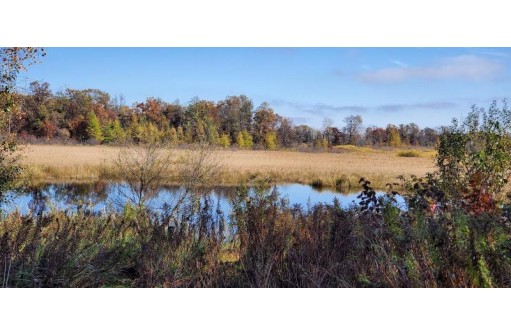 40 AC Cypress Avenue, Friendship, WI 53934