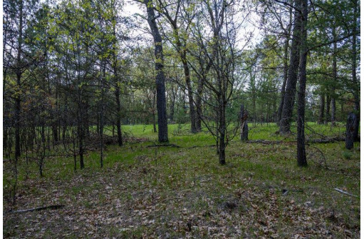 N7168 Timber Ridge Lane, Mauston, WI 53948