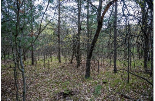 N7168 Timber Ridge Lane, Mauston, WI 53948