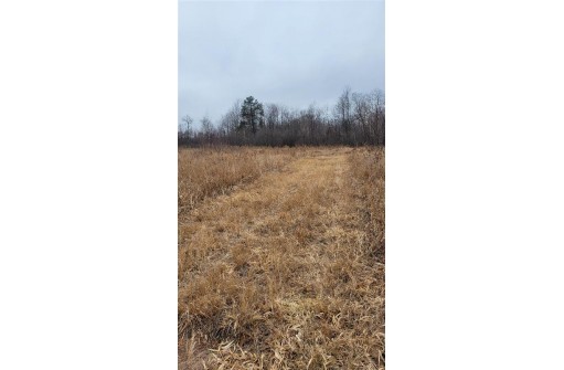 200 ACRES Birch Lane, Nekoosa, WI 54469