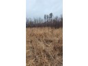 200 ACRES Birch Lane, Nekoosa, WI 54469