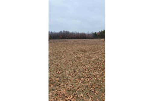 200 ACRES Birch Lane, Nekoosa, WI 54469