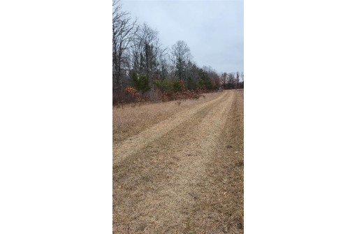 200 ACRES Birch Lane, Nekoosa, WI 54469