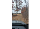 200 ACRES Birch Lane, Nekoosa, WI 54469