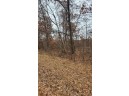 200 ACRES Birch Lane, Nekoosa, WI 54469