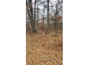 200 ACRES Birch Lane, Nekoosa, WI 54469