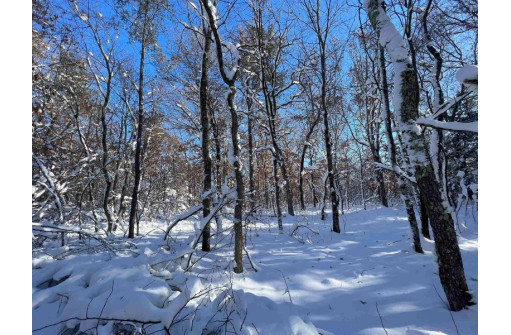 3.68 ACRES County Road J, Friendship, WI 53934