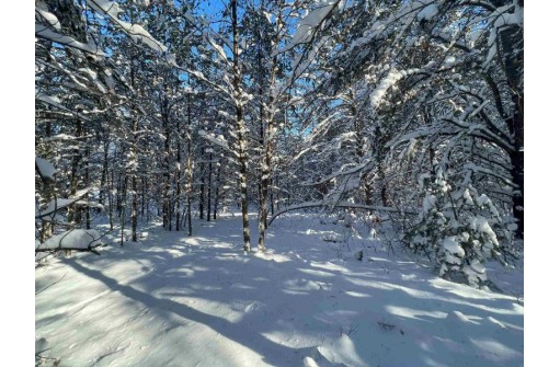 3.68 ACRES County Road J, Friendship, WI 53934