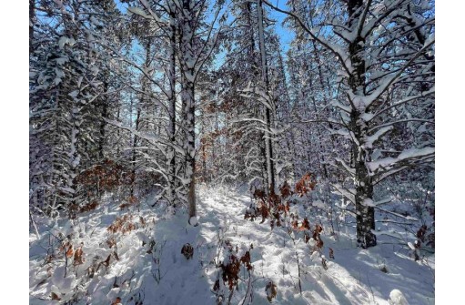 3.68 ACRES County Road J, Friendship, WI 53934