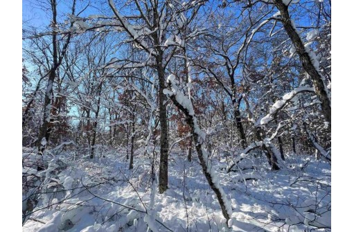 3.68 ACRES County Road J, Friendship, WI 53934