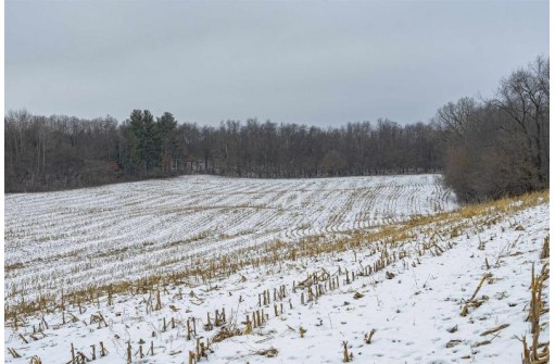 35+/- ACRES Pine Hollow Road, Arlington, WI 53911