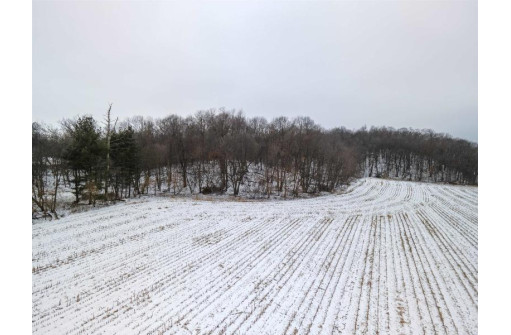 35+/- ACRES Pine Hollow Road, Arlington, WI 53911