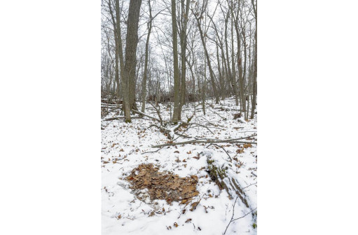 35+/- ACRES Pine Hollow Road, Arlington, WI 53911