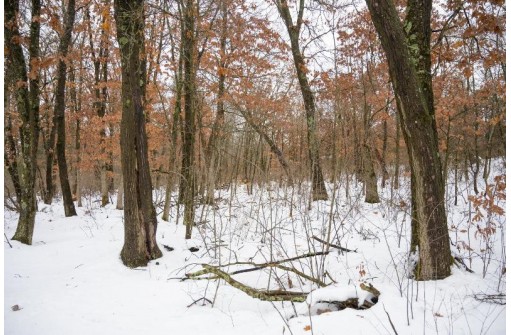 1.80AC Rainbow Lane, Lyndon Station, WI 53944