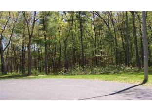 198 Cliffside Drive Wisconsin Dells, WI 53965