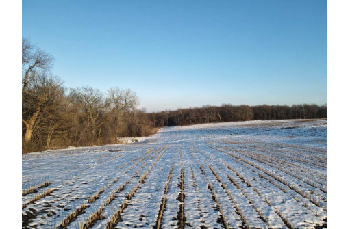 51.82 M/L ACRES Fesenfeld Road, Black Earth, WI 53515