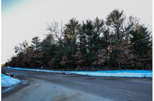 LOT 3 20th Avenue, Arkdale, WI 54613