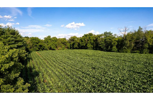 67.76 M/L ACRES Town Line Road, Other, WI 53051