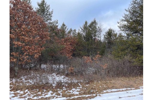 L36 Halls Point Road, Necedah, WI 54646