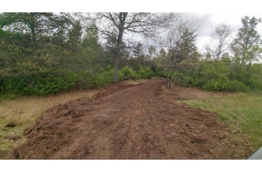 L36 Halls Point Road, Necedah, WI 54646