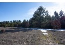 20 ACRES 22nd Avenue, Mauston, WI 53948