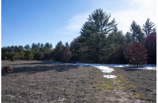 20 ACRES 22nd Avenue, Mauston, WI 53948