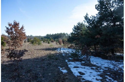 20 ACRES 22nd Avenue, Mauston, WI 53948