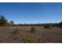 20 ACRES 22nd Avenue, Mauston, WI 53948