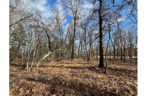 39.88AC Frontier Avenue, Tomah, WI 54660