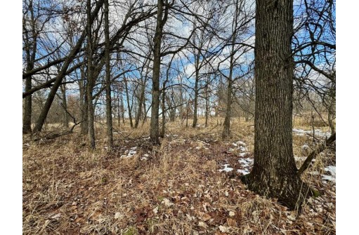 39.88AC Frontier Avenue, Tomah, WI 54660