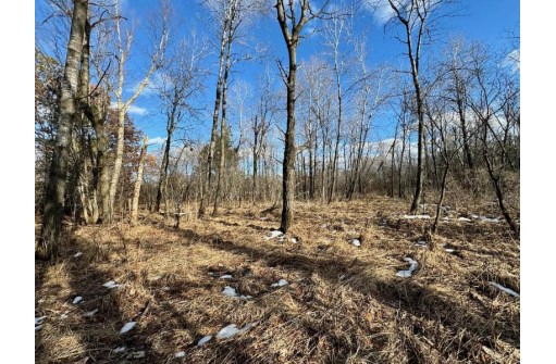 39.88AC Frontier Avenue, Tomah, WI 54660