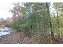 LOT10 Spruce Trail, Spring Green, WI 53588