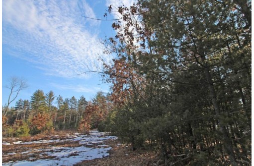 LOT10 Spruce Trail, Spring Green, WI 53588