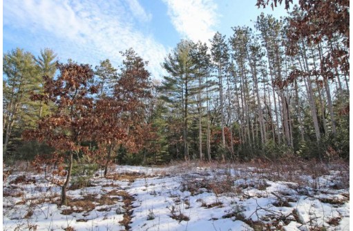 LOT10 Spruce Trail, Spring Green, WI 53588