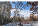 LOT10 Spruce Trail, Spring Green, WI 53588