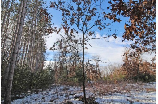 LOT10 Spruce Trail, Spring Green, WI 53588