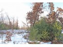 LOT10 Spruce Trail, Spring Green, WI 53588